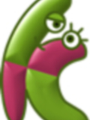 Carlos Santana, un joven de 31 años de la localidad de Camas (Sevilla), y con la iniciativa de dos empresarios Ceutís, ha creado Kamgoo.com, una nueva Red Social gratuita a Nivel Mundial orientada a Portal de Contactos.