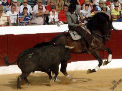 Ventura y Mendoza empatan en el duelo de osuna