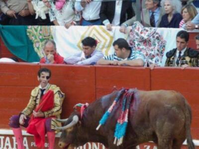 La duquesa de Alba reanuda su vida en Sevilla tras la luna de miel