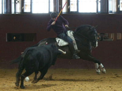 Ventura padre e hijo entrenan juntos en la finca de Bohórquez