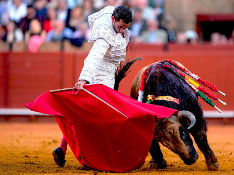 Un torero en un traje tradicional de color blanco y rojo, con una capa larga roja en la mano izquierda. El torero lucha contra un toro negro y blanco, que tiene una capa roja en la espalda. El fondo muestra un público y una cerca de madera.