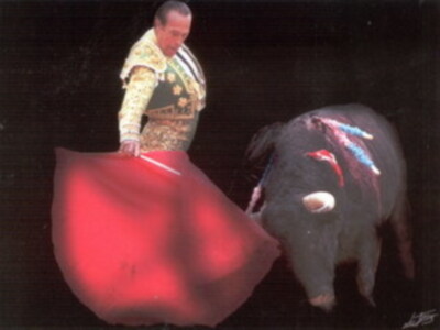 Las mejores fotos del torero sevillano Curro Romero,por Luis Laforga