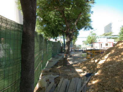 Ocupación de la vía pública y daño al arbolado de Sevilla