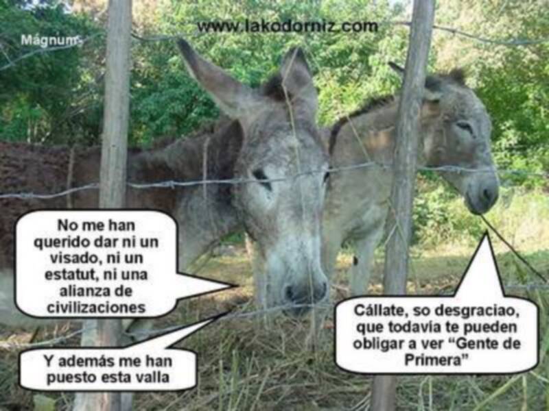 ALGUNAS DESVENTURAS