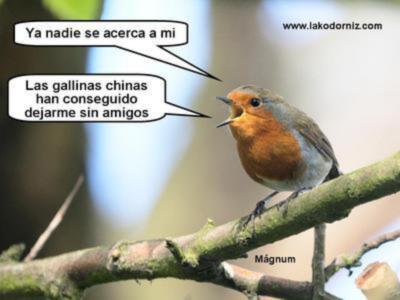 Marginación y gripe