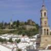 El próximo 21 de enero se realizará una jornada a cerca del Castillo de Constantina