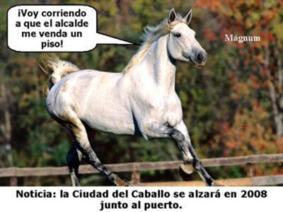 NUEVA CIUDAD DEL CABALLO