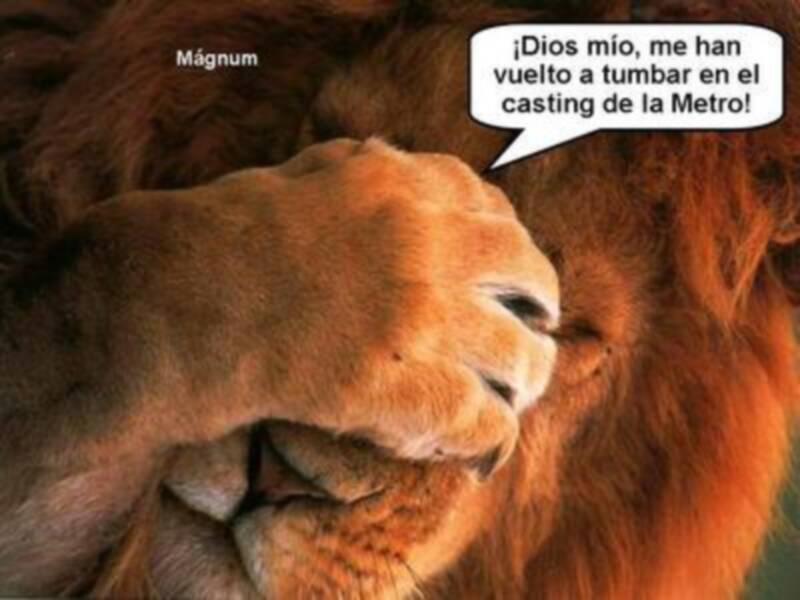 DECEPCIÓN