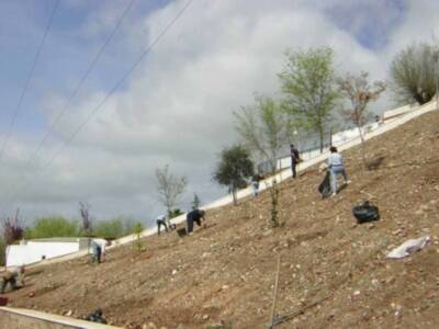 IU denuncia la carencia y degradación de zonas verdes en Cantillana
