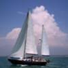 Dos veleros gaditanos ponen rumbo a Saint-Malo desde la Coruña para comenzar la regata del Cincuentenario
