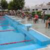 Más de 500 jóvenes de 11 municipios de la provincia de Sevilla participan en una competición de natación en Lora del Río