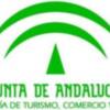 La Junta de Andalucía aprueba enseñanzas de Técnicos Deportivos de Baloncesto