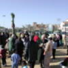 Gines: inaugurado el nuevo Parque Municipal Las Brisas