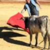 ORTEGA CANO y PEPE LUIS VAZQUEZ REGRESAN A LOS TOROS 