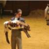 FIBES Y LA UNIÓN DE CRIADORES DE TOROS DE LIDIA CELEBRAN EL X ANIVERSARIO DE LA FERIA MUNDIAL DEL TORO DEL 6 AL 10 DE FEBRERO DE 2008