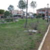 El Ayuntamiento de Gines introduce mejoras en el Parque Municipal 