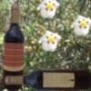  Margarita de  Constantina  presentará un nuevo producto: su vino joven Cistus