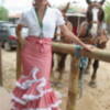 El 12 de mayo de 2008 será Lunes del Rocio 
