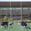 El más Importante Campus de Fútbol Americano se celebra en Andalucía