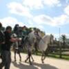 "Andalucía con estilo" visita la finca de Ángel Peralta