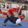 La Escuela Internacional de Kung Fu domina y representará a Andalucía en el Campeonato de España 
