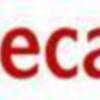 Competencia reconoce el derecho de Sogecable a explotar los derechos del Real Madrid para la temporada 2008/2009