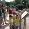 Un grupo de niños de Umbrete visita el Aula de la Naturaleza y el Parque Municipal de Gines 