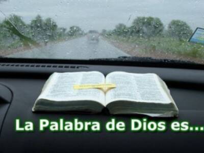 Este domingo Domund 2008 Como Pablo, misionero por vocación, lema de la Jornada Misionera Mundial: Aquellos que hemos recibido de Dios, de forma totalmente gratuita, el don de la fe, hemos de testimoniarla