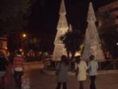Árboles de Navidad iluminados en un parque nocturno.