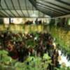 Cena anual del colegio de Ingenieros de Sevilla 