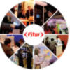 FITUR 2009