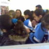 Mil escolares visitaron  la exposición de Educación para la paz en Chipiona