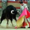 Espartaco celebrará sus 30 años de alternativa en Olivenza