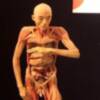 La exposición "Érase una vez..la VIDA" cierra definitivamente sus puertas en el Palacio Baluarte de Pamplona, con más ¡¡60.000 visitantes!!