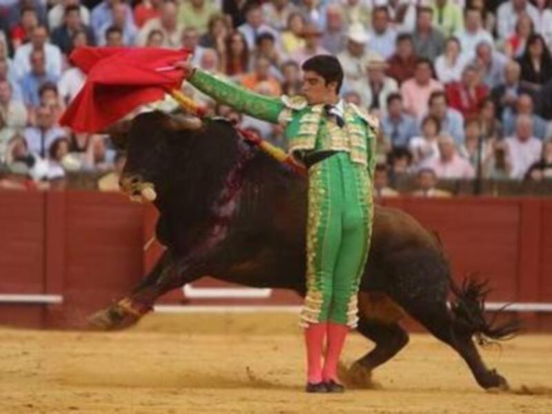 Un torero en acción durante una corrida de toros, con el público en el fondo.