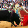 Enrique Ponce, triunfador en Fallas