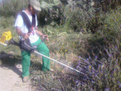 Una persona vestida con ropa de trabajo, incluyendo una camiseta blanca y pantalones verdes, está utilizando un cortacésped manual en un entorno natural con vegetación y cactus.
