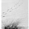 Inauguración de la exposición fotográfica de Miguel Ventura Valladolid, "ROCÍO IN TEMPORE"