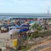 Playas de Micaela y Montijo de Chipiona  sin los mínimos servicios