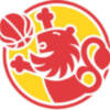 Feb.es ofrecerá a partir del próximo lunes una cobertura especial del Eurobasket 2009