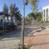 Arboles afectados por la contrucción del carril bici.