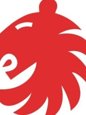 La Fundación de la FEB, la Comunidad de Madrid y la Caja Mediterráneo presentan este miércoles el programa El baloncesto no tiene edad