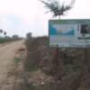 Trabajos de limpieza de arroyos y poda del arbolado en la vía verde (Chipiona)