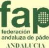 I premios Andalucía de Pádel: Decisión del Jurado  