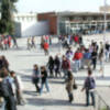 Más de 3.000 alumnos de bachillerato visitan la UPO esta semana en las Jornadas de Puertas Abiertas 