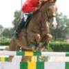 David Morera consigue el Gran Premio del Concurso de Saltos Nacional 1* de Pineda 