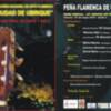 XXII CONCURSO NACIONAL DE ARTE FLAMENCO CIUDAD DE UBRIQUE.FASE PREVIA. 