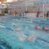 150 pre-benjamines han participado en la jornada de natación y convivencia organizada por Diputación en Rota  