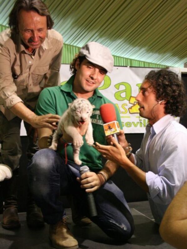 David Bisbal apadrina a un tigre en Sevilla
