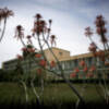 El proyecto sobre Biodiversidad coordinado por la UPO, seleccionado para pasar a la segunda fase de la convocatoria de Campus de Excelencia Internacional